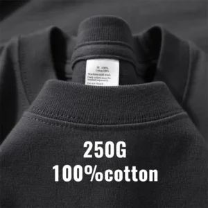 250Gsm Heavyweight Blank T Shirt Custom Logo DTG 100% Cotton Drop Shoulder Streetwear Graphic T Shirts for Men