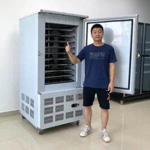 250L 10 Levels Plate Freezer Stainless Steel 304 Digital Control Quick Freezing Shock Freezer for Small Restaurant Kitchen Food