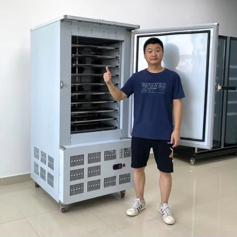 250L-10-Levels-Plate-Freezer-Stainless-Steel-304-Digital-Control-Quick-Freezing-Shock-Freezer-for-Small-Restaurant-Kitchen-Food
