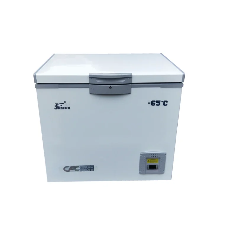 60C-Super-Freezer-for-Tuna-Deep-Ocean-Fish-158L-Ultra-Cold-Freezer-for-Sashimi-Storage-at-Janpense-Restaurant-Sea-Fishing