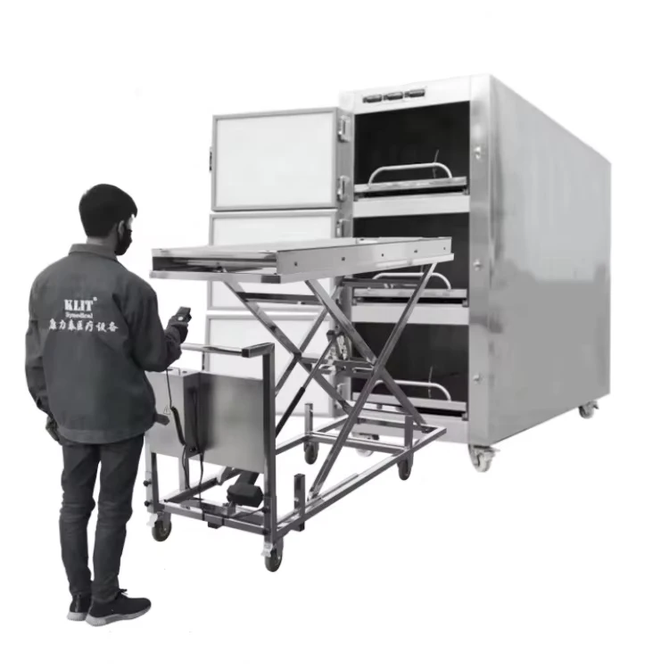 Adult-Mortuary-Freezer-3-Stainless-Steel-Top-Mounted-Air-cooled-Single-Door-Single-Control-3-body-Body-Freezer