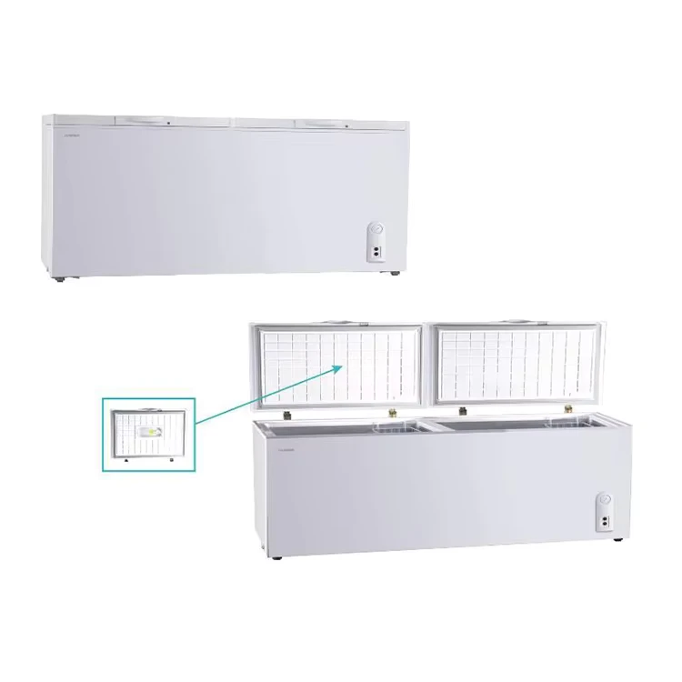 Commercial-Horizontal-Freezer-with-Lock