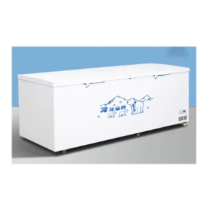 Cooling Freeze Refrigerator Restaurant Supermarket Refrigeration Equipment Chest Freezer for Frozen Food