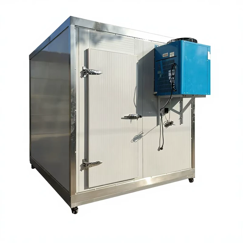 Custom 1 Door Mobile Blast Freezer Room Cold Storage Full Set Quick Cooling Insulated Refrigerated Frozen Equipment