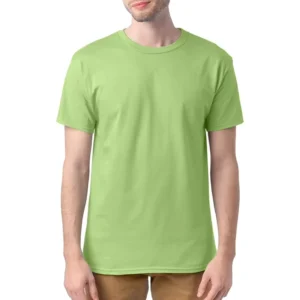 Custom Cotton Men’s T Shirt Fruit Green Cotton Plain T Shirt for Men Print Logo