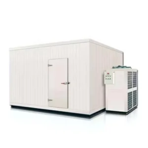 Custom Size Industrial Walk in Blast Freezer Cold Room