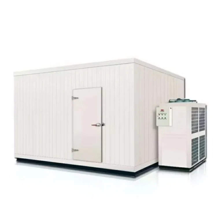 Custom-Size-Industrial-Walk-in-Blast-Freezer-Cold-Room