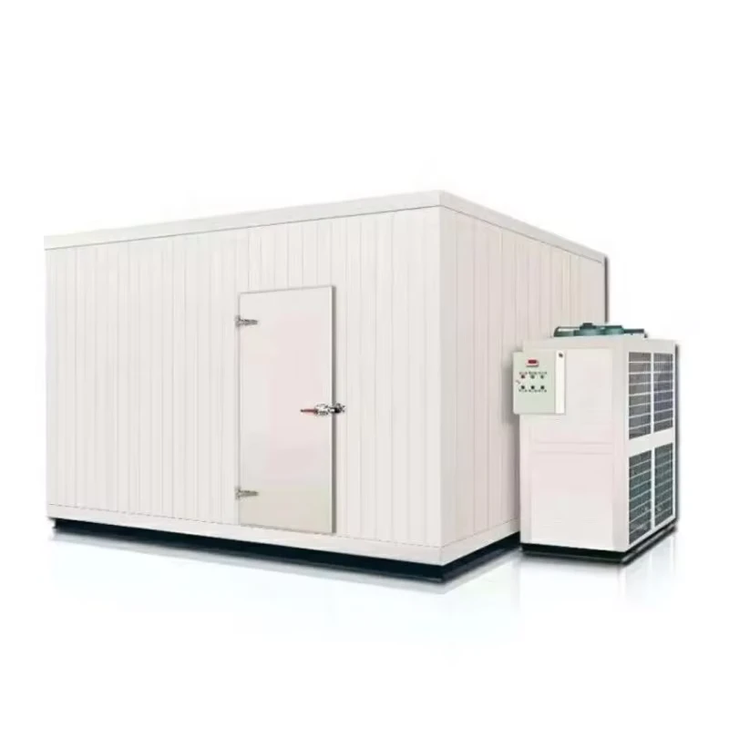Custom Size Industrial Walk in Blast Freezer Cold Room