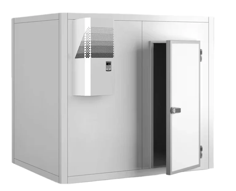 Customized-Freezer-Storage-Efficient-Freezer-for-Fish-Fruit-and-Vegetable-Refrigeration