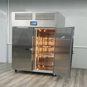Double Door Freezing Equipment Thawing Cabinet