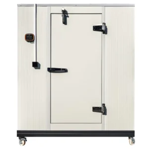 Dumpling Noodle Flash Freezer Small Refrigeration Equipment High Efficiency Beef Fish Mini Quick Freezer Cold Storage Room