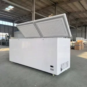Energy Saving Solid Door Chest Freezer Fast Freezing Deep Freezer for Food
