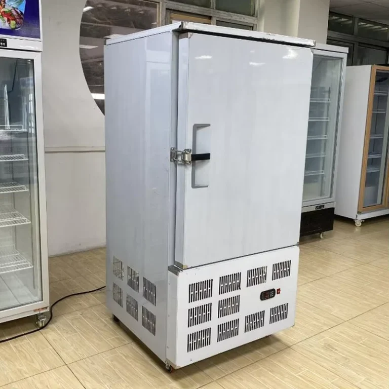 Energy-Star-rated-Plate-Freezer-Stainless-Steel-304-Eco-friendly-Easy-Cleaning-Food-grade-45-Compressor-Low
