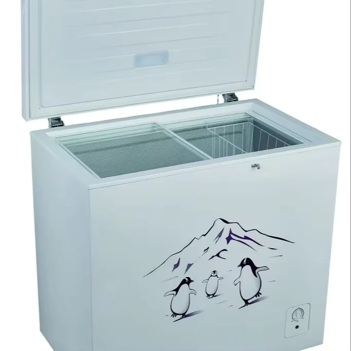 Fast-Freezing-Double-Door-Open-Factory-250L-DC-Solar-Fridge-Freezer