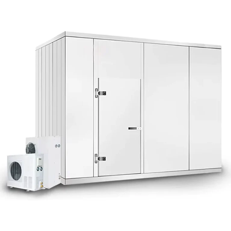 Freezer-Cold-Room-Chambre-Froide-Industrial-Blast-Freezer-Walkin-Cooler-Cold-Storage-Room-Price-Fresh-Keeping-Freezer-Fruit-1