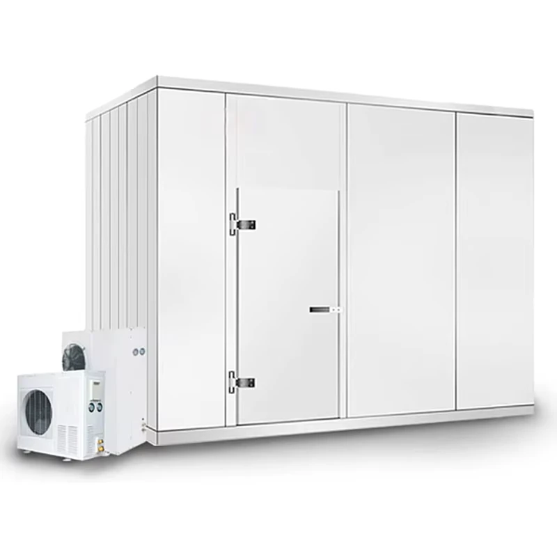 Freezer Cold Room Chambre Froide Industrial Blast Freezer Walkin Cooler Cold Storage Room Price Fresh Keeping Freezer Fruit