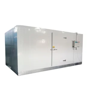 Freezer Room for Frozen Fish Seafood