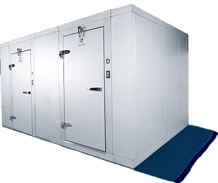 Frozen-Fish-Beef-Meat-Freezer-Room-Storage