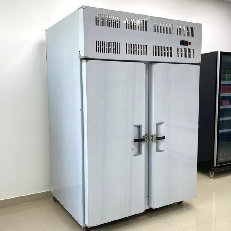 High-Capacity-Plate-Freezer-Equipment-Adjustable-Temperature-Settings-Quick-Freezing-Compressor-Two-Doors