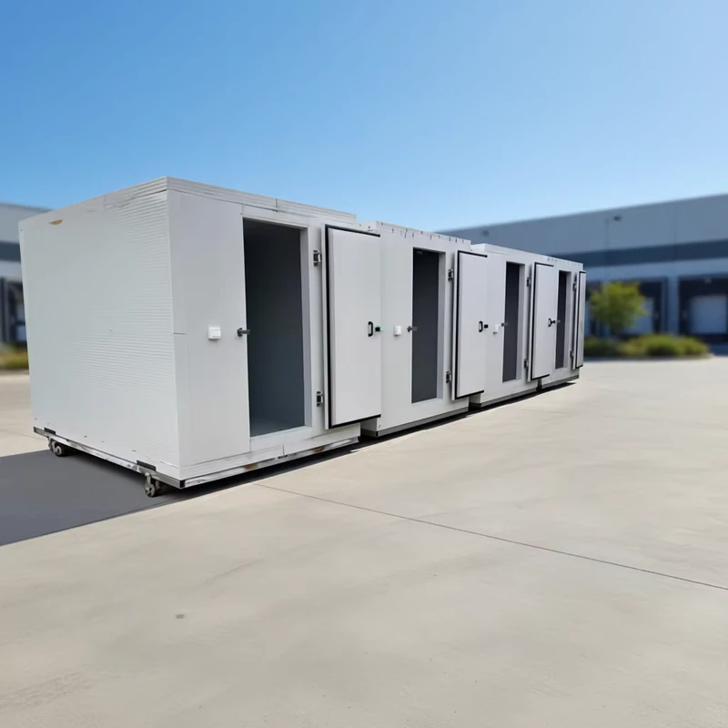 Mobile Freezer with Good Insulation Effect and Walk in Freezer Cold Storage