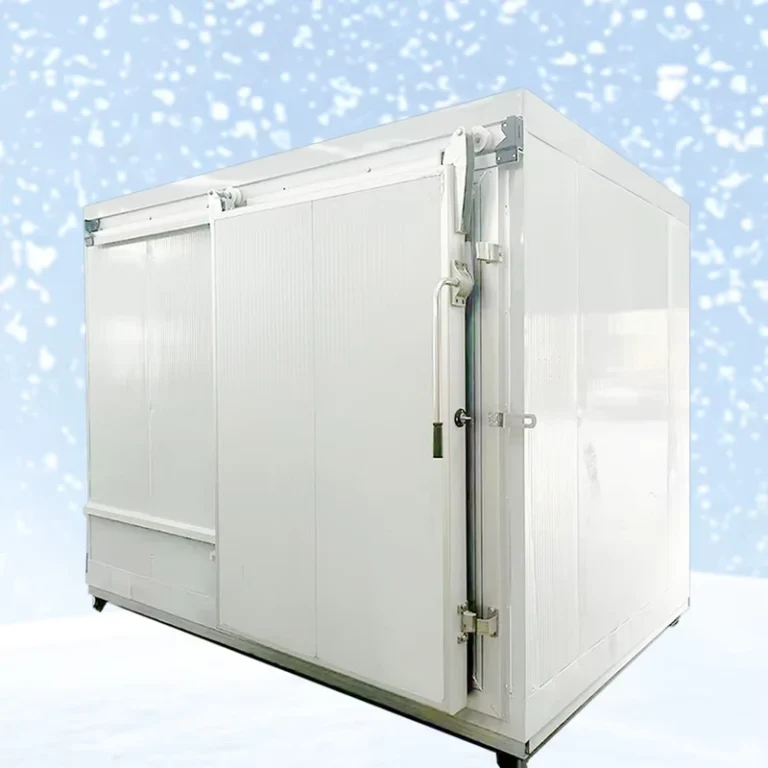 Outdoor-Commercial-Freezer-Room-Walk-in-Freezer-Room