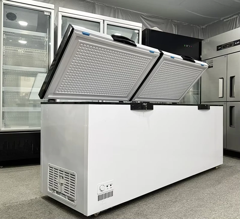 Quick Freezing Technology Commercial Chest Freezer Digital Control Adjustable Shelves Long Lasting Freshness for Supermarket