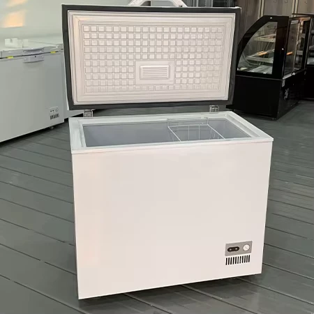 Small-Capacity-Single-Temperature-Horizontal-Direct-Cooling-Chest-Freezer-for-Supermarkets-Households