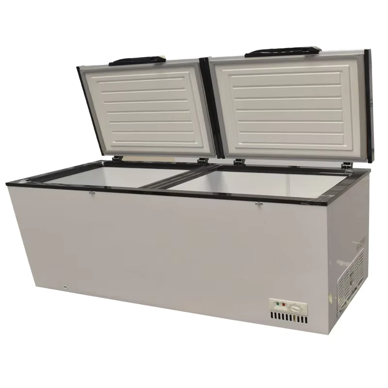 Top Quality Pack Freezer Chest Freezer Big Freezer Basket