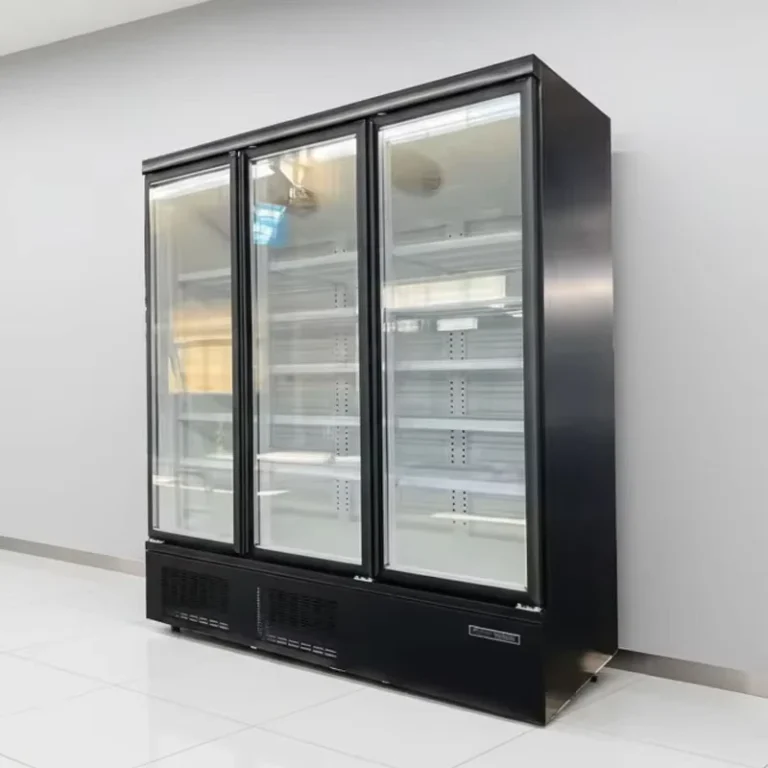 Upright-Freezer-with-Glass-Doors-Display-Freezer-for-Store-Commercial-Freezer-Refrigeration-Equipment
