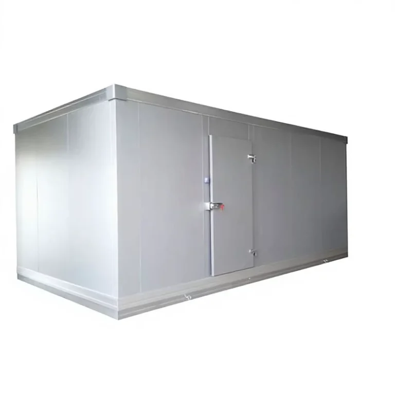 Walk-in-Blast-Freezer-and-Chiller-for-Chicken-and-Frozen-Meat-Storage-Cool-Room-Cold-Storage