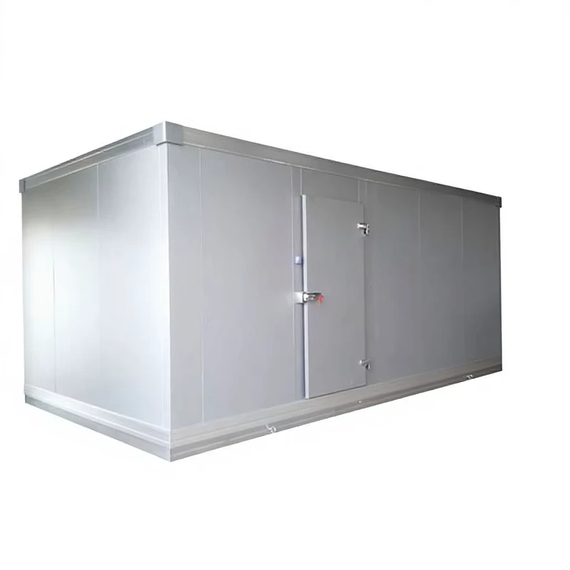 Walk in Blast Freezer and Chiller for Chicken and Frozen Meat Storage Cool Room Cold Storage