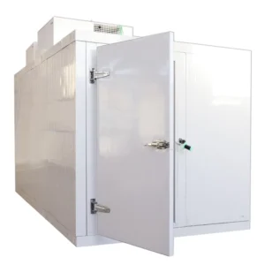 Walk in Cooler Chiller Freezer Container with Compressor and High Density PU Panels