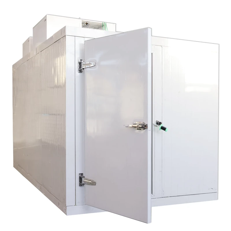 Walk in Cooler Chiller Freezer Container with Compressor and High Density PU Panels
